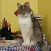 Отзыв от Олеся Муравьева